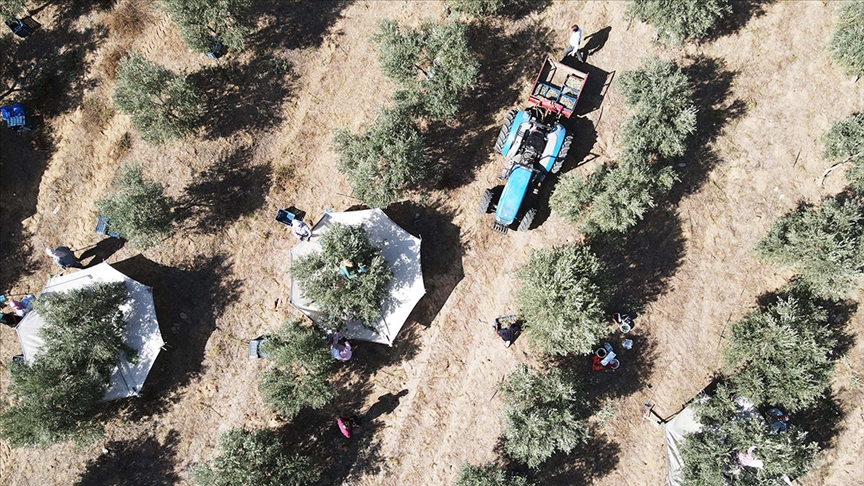 thumbs b c a2de836e60a34b9d0bf2b0d9373c23e8 (1)