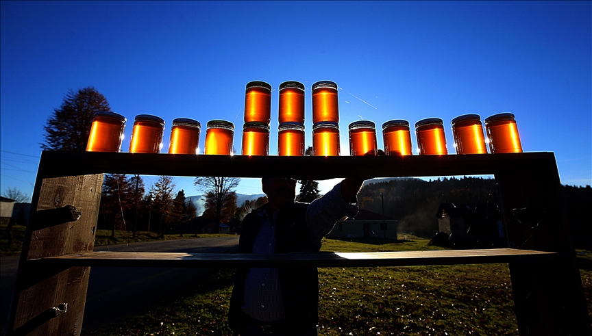 thumbs b c f90c9ecc24422d56435284931de2bc55