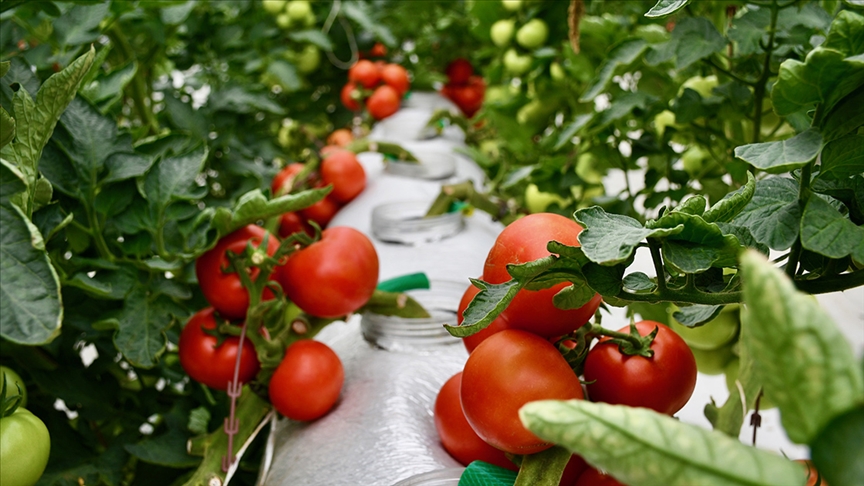 thumbs b c f9627fffab336067e3b25134256c2bab (1)