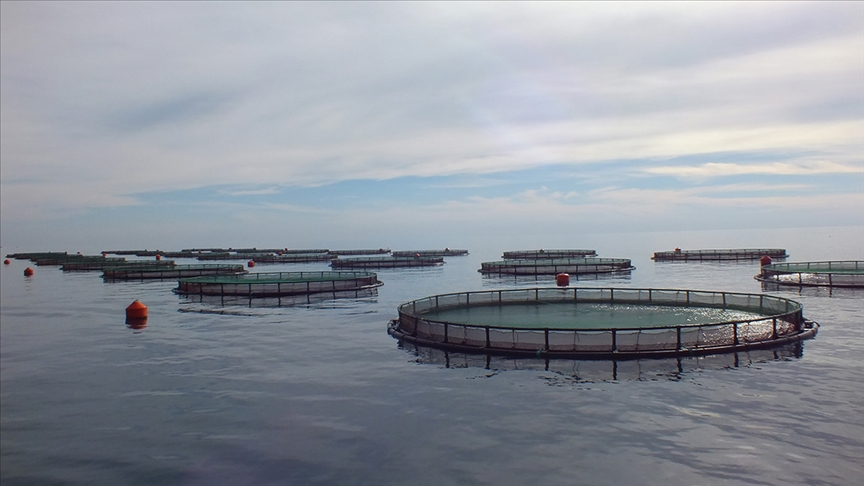 thumbs b c e86e6b10d4b819ddc123f70f9366c7c5