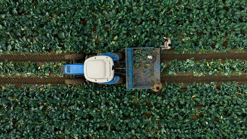 thumbs b c ebb1fdc3490438bf00be3a10c70cec4b