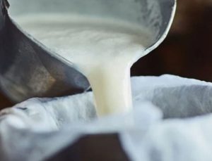 TÜİK Açıkladı: Toplanan Süt Miktarı ve Beyaz Et Üretimi Azaldı