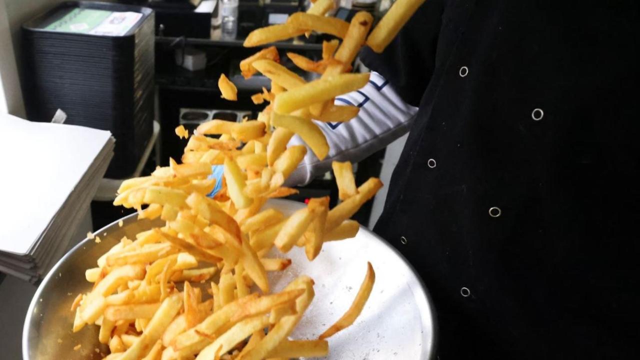 pattes kizartmasi reu 2035613