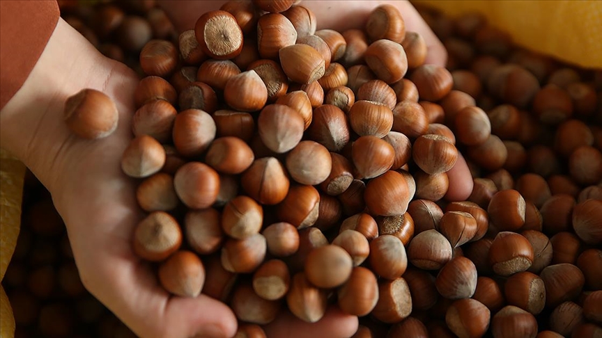 thumbs b c 4b81a7a38bc7842c1bbce4215ae0e4f5