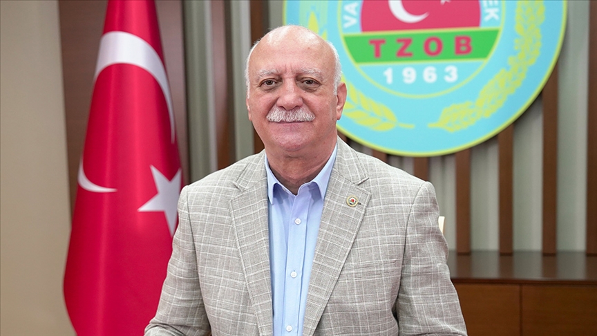 thumbs b c 0d13d606b6768255d8964ae73cff3995