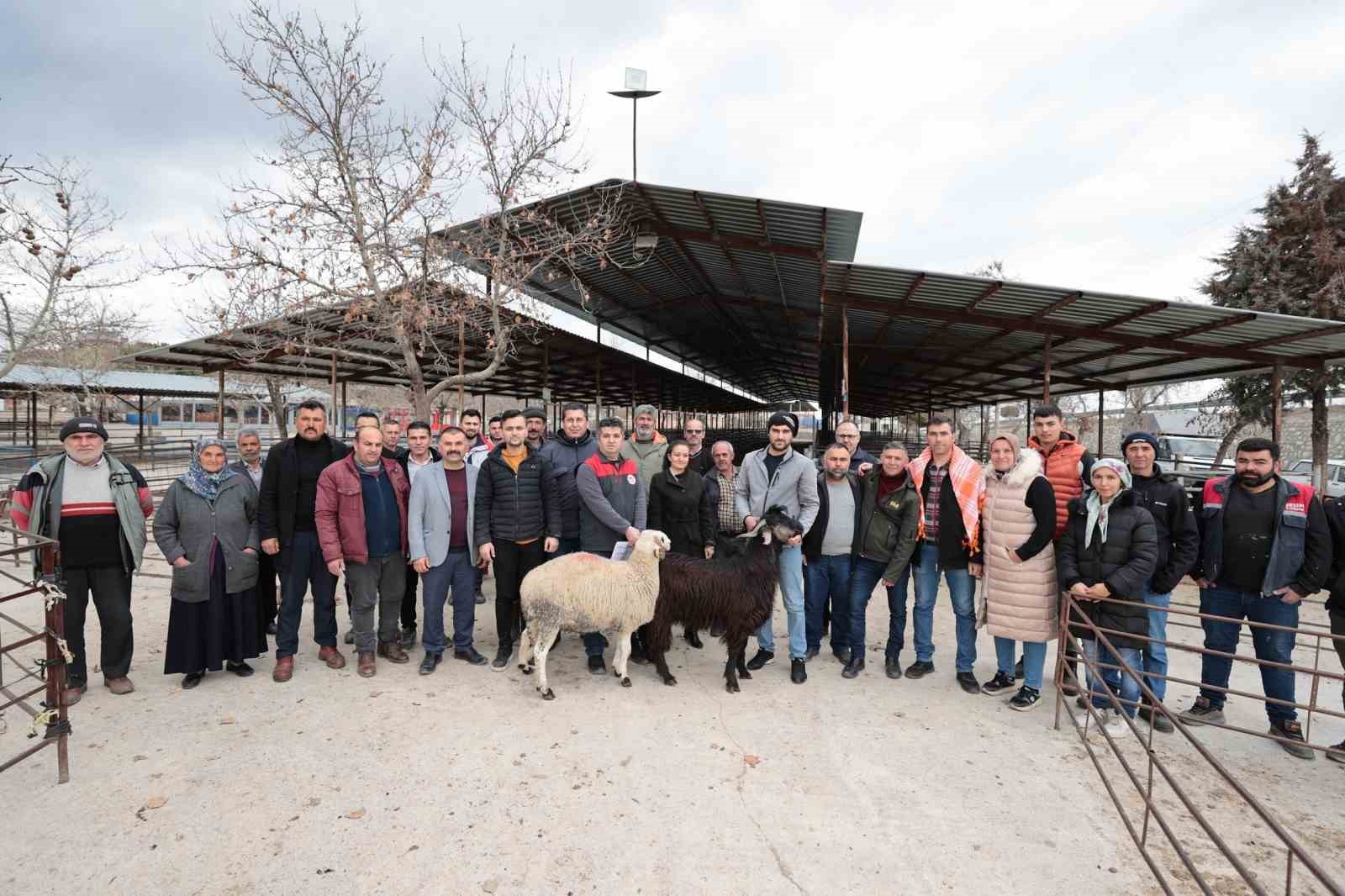 DENİZLİ’DE 321 ÇİFTÇİYE 600 ADET DAMIZLIK KOÇ VE TEKE HİBE DESTEĞİ BAŞLADI BAŞKAN OSMAN ZOLAN: “YETER Kİ SİZ ÜRETİN BİZ HER ZAMAN YANINIZDAYIZ”