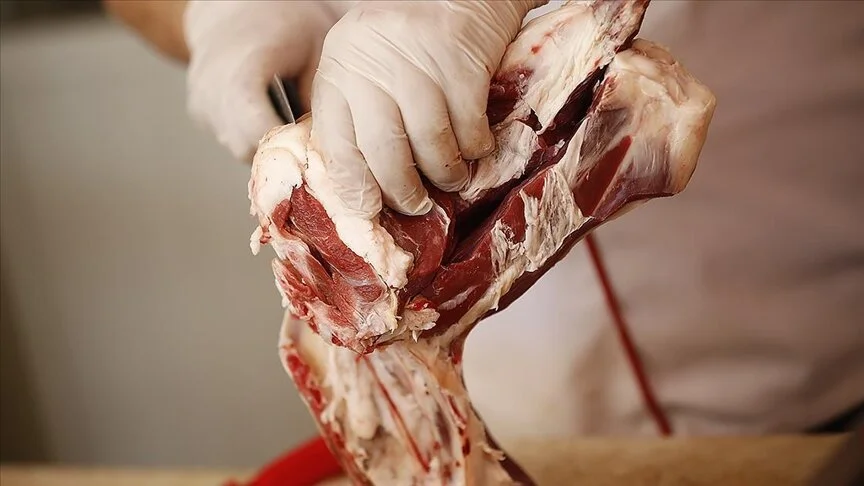 thumbs b c 3533e4d931b8be187e1a9db7b9046e8a