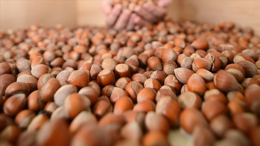 thumbs b c e6eb6fb32c5e7873d86311991f50602c