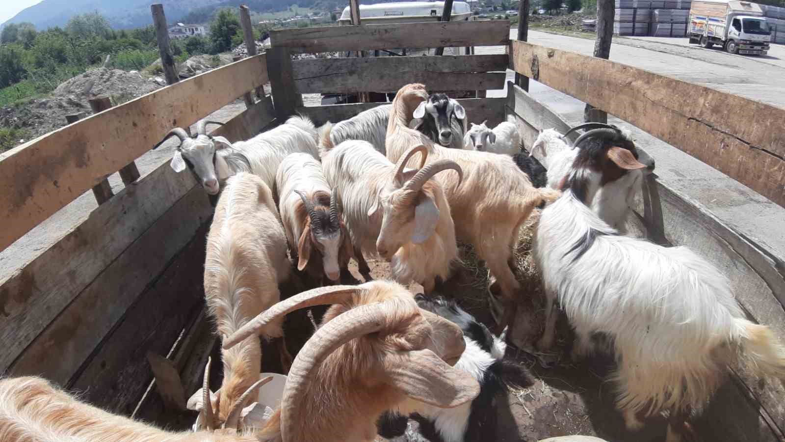 KURBAN PAZARINDA SON YILLARIN EN DURGUN GÜNLERİ YAŞANIYOR