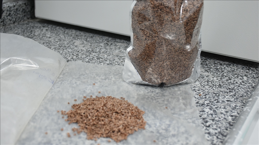 thumbs b c 72c2737a6e643f92123401b30e152bd4