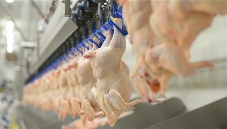 Tavuk Eti Üretimi Martta Aylık Yüzde 1,6, Yıllık Yüzde 2,7 Arttı