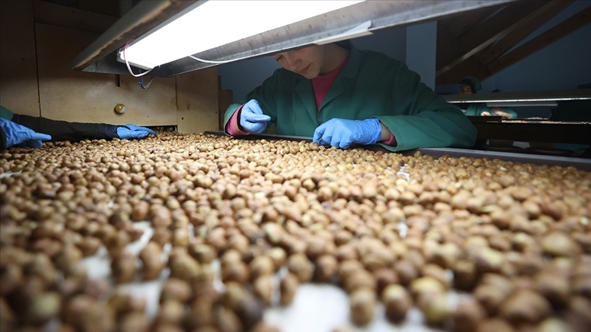 thumbs b c fcc22f760dd2ada269b8b755bd562e11