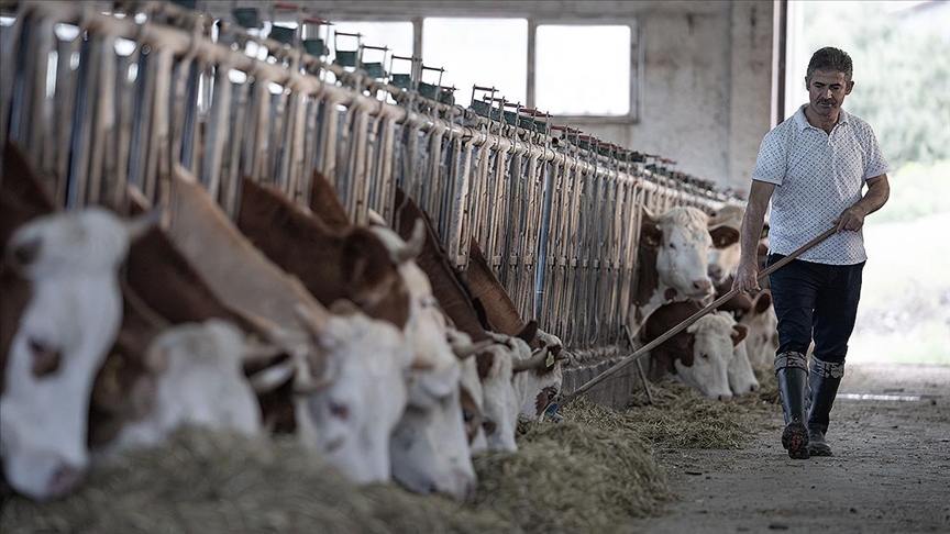 thumbs b c 11a2cda9b8b685853dc047ce00a153ff