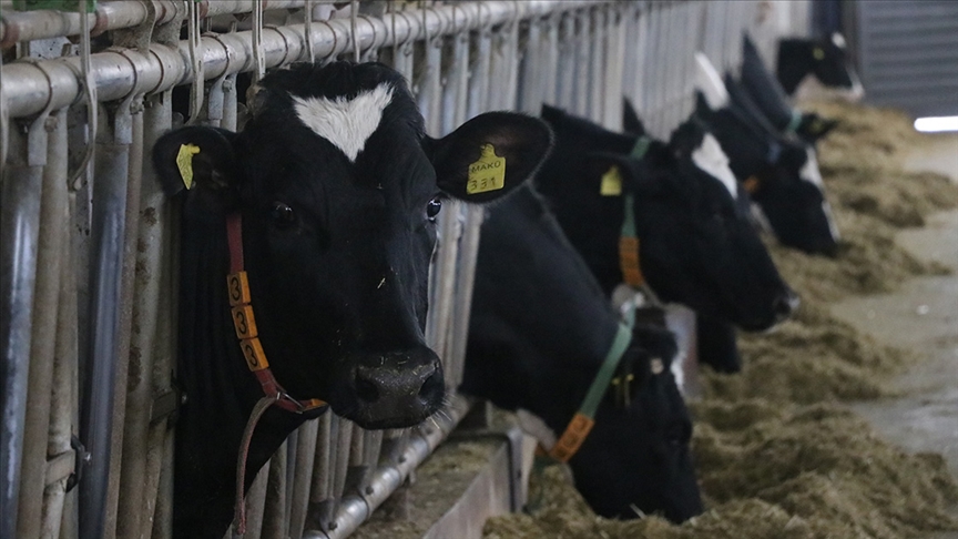 thumbs b c 1681a18a13ed8174755d3d274414a8a3