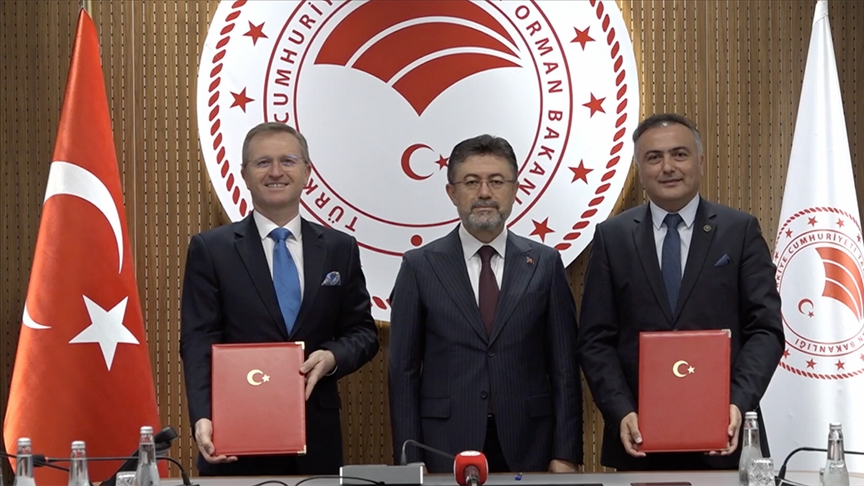 thumbs b c d6542a20fc7be7c0ad926bf27bd79a38