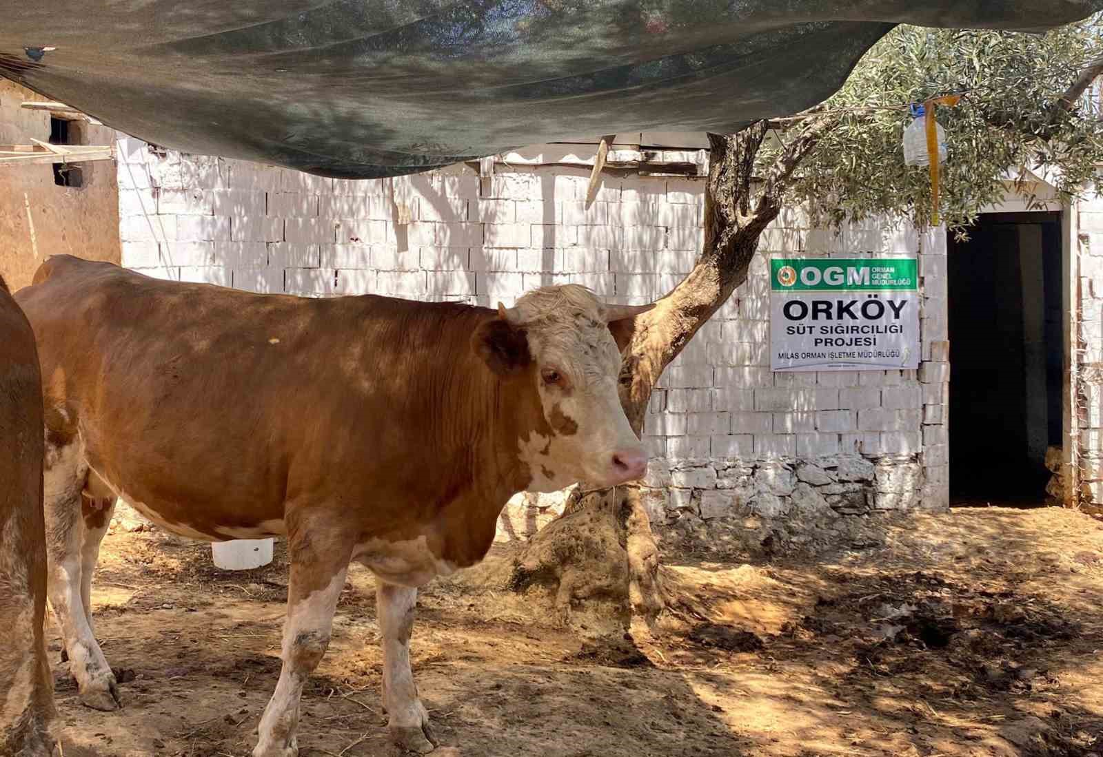 ORKÖY’DEN ORMAN KÖYLÜSÜNE DESTEK