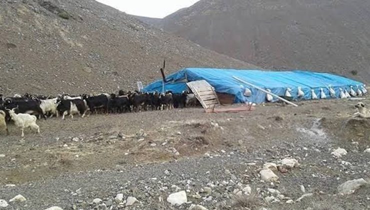 Çobanlar arasında Kavga: Bir Kişi Öldü, 3 Kişi Yaralandı