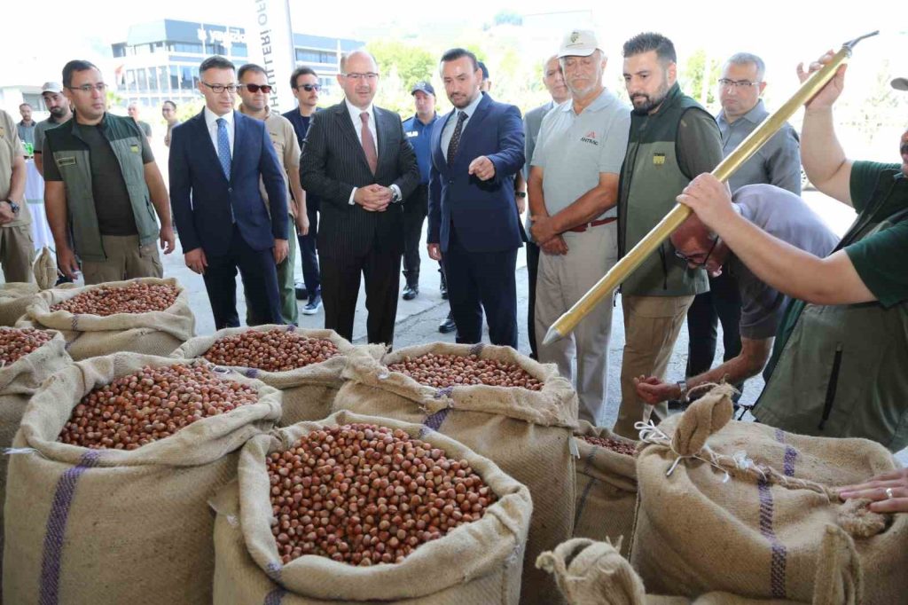 TMO GİRESUN’DA İLK FINDIĞI 135,96 LİRADAN ALDI