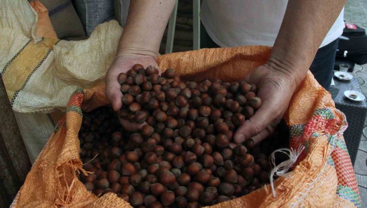 Serbest Piyasada Fındık Fiyatı Randımana Bağlı