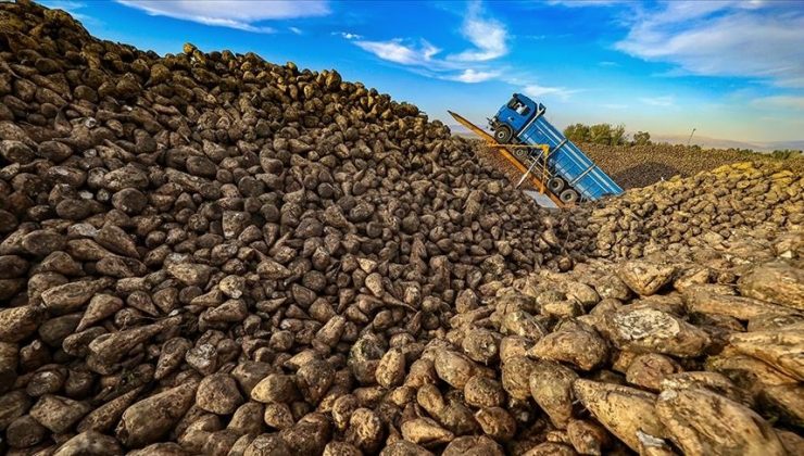Şeker Pancarı Alım Fiyatı Ton Başına 2 Bin 375 Lira Olarak Belirlendi