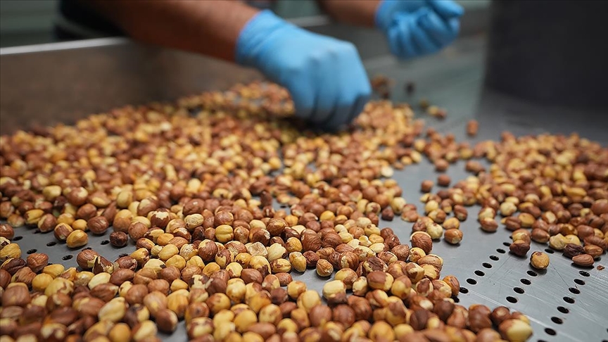 thumbs b c b3bb140c9c43ba6292974e7d208f9262