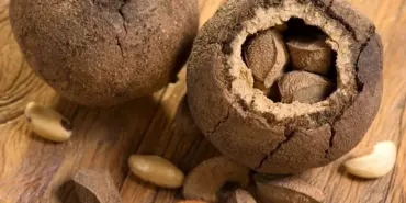 Cz9M8U96iEuWIESV8NFi6Q