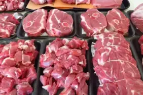 etezamjpg FerjKAxd50iaw0e1qwMhMw