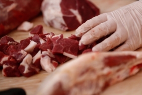 thumbs b c 6c08e236fe939a1e6c0a81508855eff4