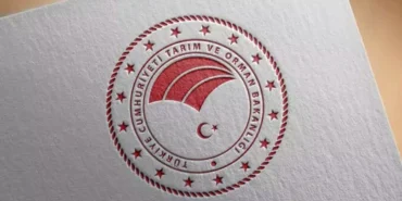 62cac87f86b24715f4595cf4