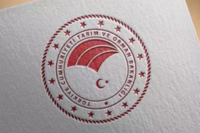 6761c0277f2e37753c11ec9b