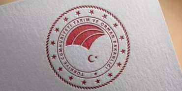 6761c0277f2e37753c11ec9b