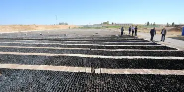 a-a-20241205-36384784-36384781-m-a-r-d-i-n-d-e-h-a-y-v-a-n-c-i-l-i-k-t-a-e-t-v-e-s-u-t-v-e-r-i-m-i-n-i-a-r-t-i-r-a-n-t-u-z-c-a-l-i-s-i-y-e-t-i-s-t-i-r-i-l-i-y-o-r