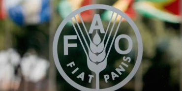 fao