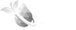 logo gray white 45