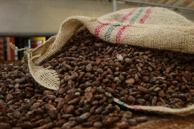 thumbs_b_c_2236611cdaa8f18e559ae910063d36dd