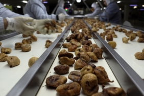 thumbs_b_c_a9832a76428e3ca9b45ea0e88bbab9d7