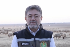 thumbs_b_c_b00064e36b54fa041c513e0210dc992b