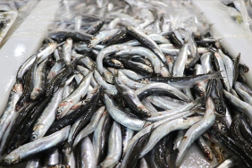 thumbs_b_c_b7f9df6151495d8c783644326fcb6e08