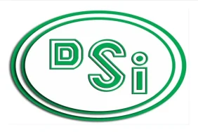 dsi-1-1024x576