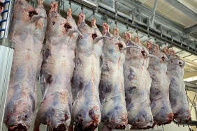 et-kesim-fiyatlarinda-dusus-piyasa-hareketlendi