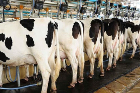 sut-fiyati-aciklandi-uretici-yine-zam-istiyor