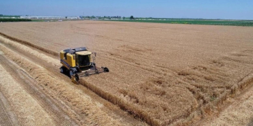 gubrejpg-J0AFsaGOYEeZik28x02OwA