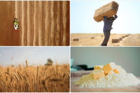 thumbs_b_c_011ceaa8a512080c6c1897e2c51e5a3f