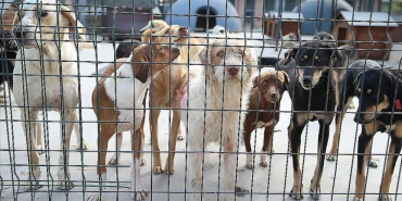 thumbs_b_c_01dd212670e39925b545187e9f6210fc