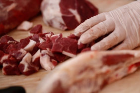 thumbs_b_c_354d813b5420c6dcc2f759408c882120