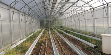 thumbs_b_c_36b3013c22431dd44482dc011487f4cf