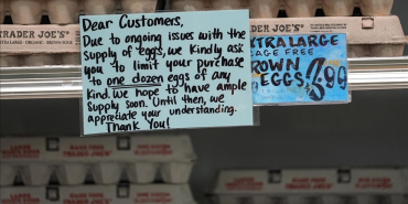 thumbs_b_c_5c5c139f975573f1bdadb2b9642afad2