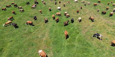 thumbs_b_c_7cc1bf7e4de13293edae9018ebcdb30b