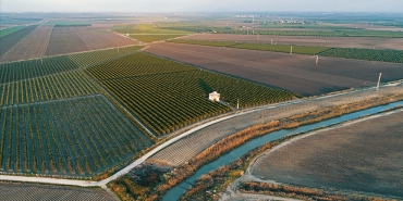 thumbs_b_c_8f58ff37bf914e85d8ed6b4312f7fad5