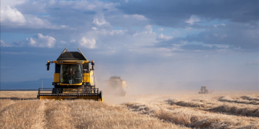 thumbs_b_c_c061564a3937f2c09dcaa24fed3980fd